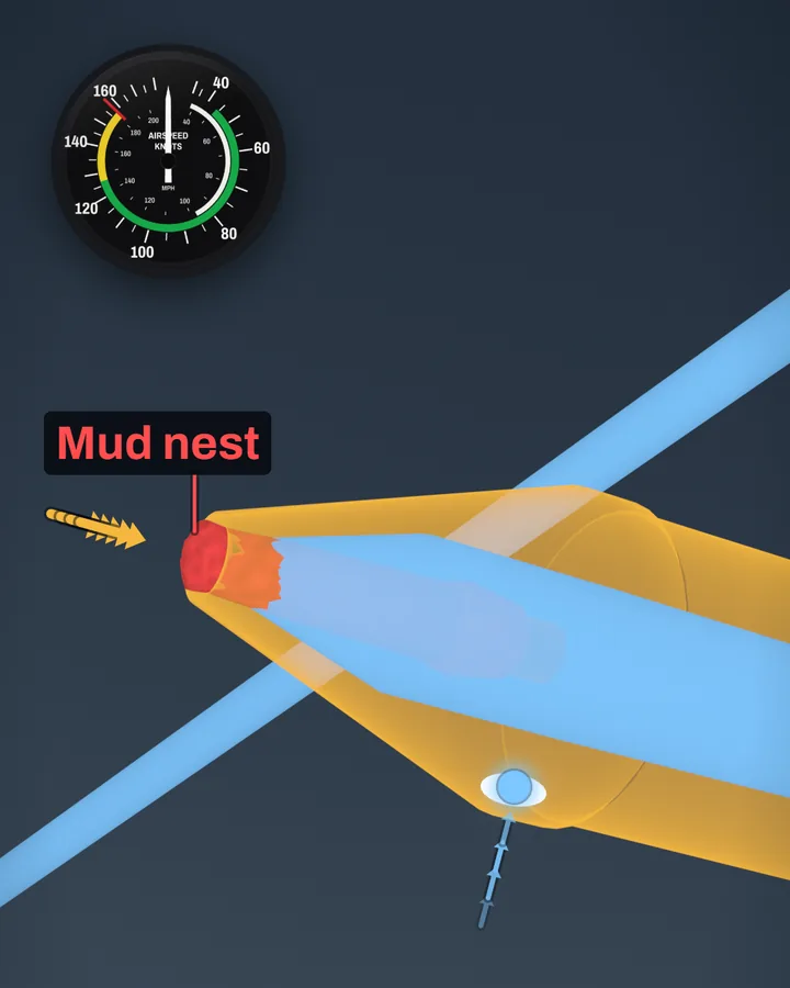 An X-ray of the pitot tube's cone in gold with a red mud plug labelled Mud nest in its front opening, gold arrows of ram air stopped at the plug, light-blue outside air inside the tube, a glowing light-blue drain hole underneath and an airspeed indicator inset at zero.